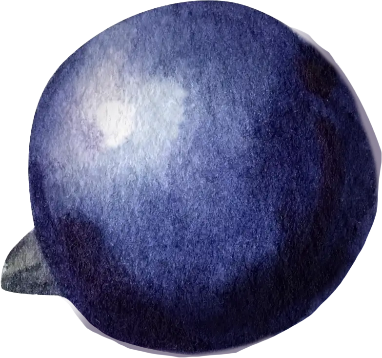 Blackcurrant