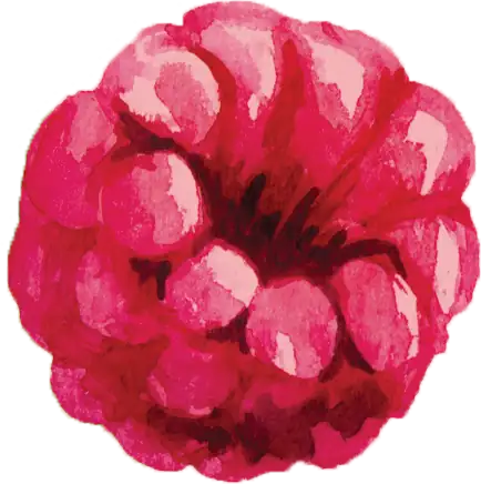 Raspberry
